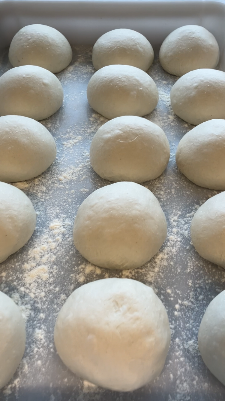 Fresh pizza dough balls proofing