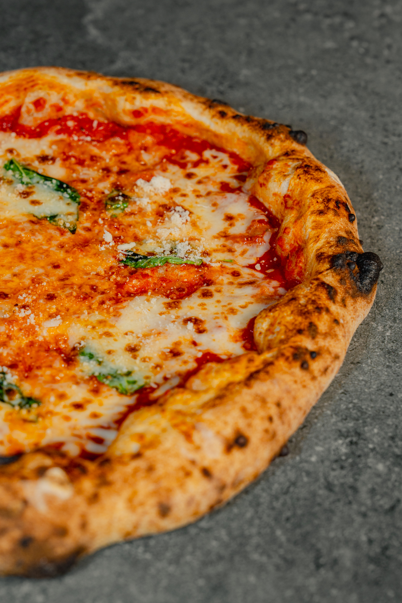 Margherita pizza close-up